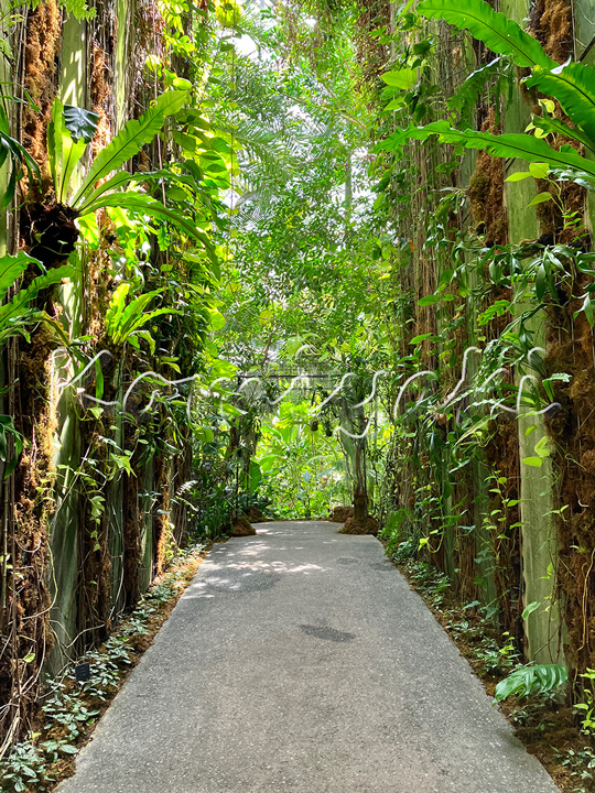 南国への入り口／2023年