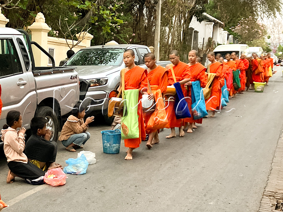 ルアンパバーン 僧侶たちの托鉢／2025年